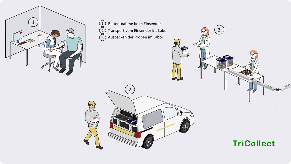 Schritt für Schritt
